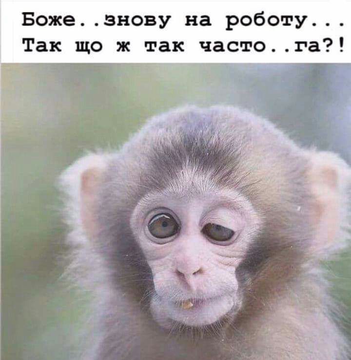 Божезнову на роботу Так що ж так частога