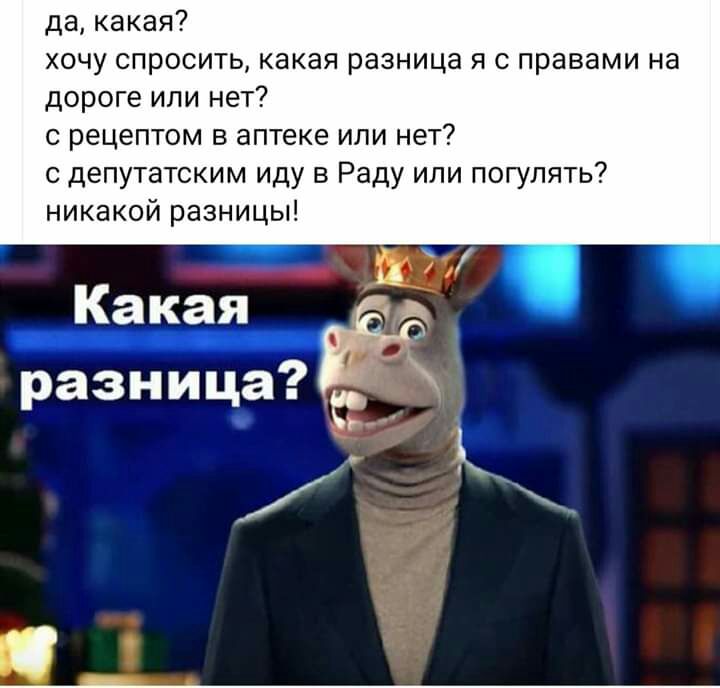 да какая хочу спросить какая разница я с правами на дороге или нет с рецептом в аптеке или нет с депутатским иду в Раду или погулять никакой разницы разница