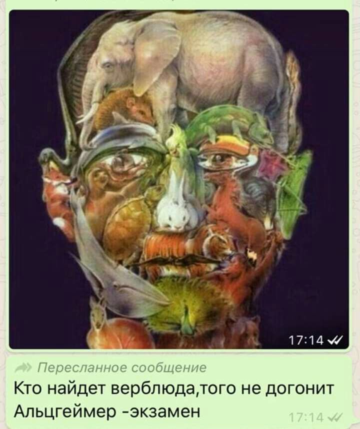 г г 4 _ Плршшснгнмж 6006 Кто найдет верблюдатого не догонит Апьцгеймер экзамен