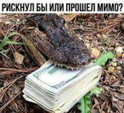 РИВКНУЛ БЫ ИЛИ ПРОШЕЛ МИМО