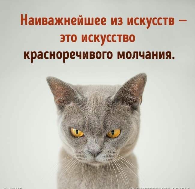 Наиважнейшее из искусств это искусство красноречивого молчания