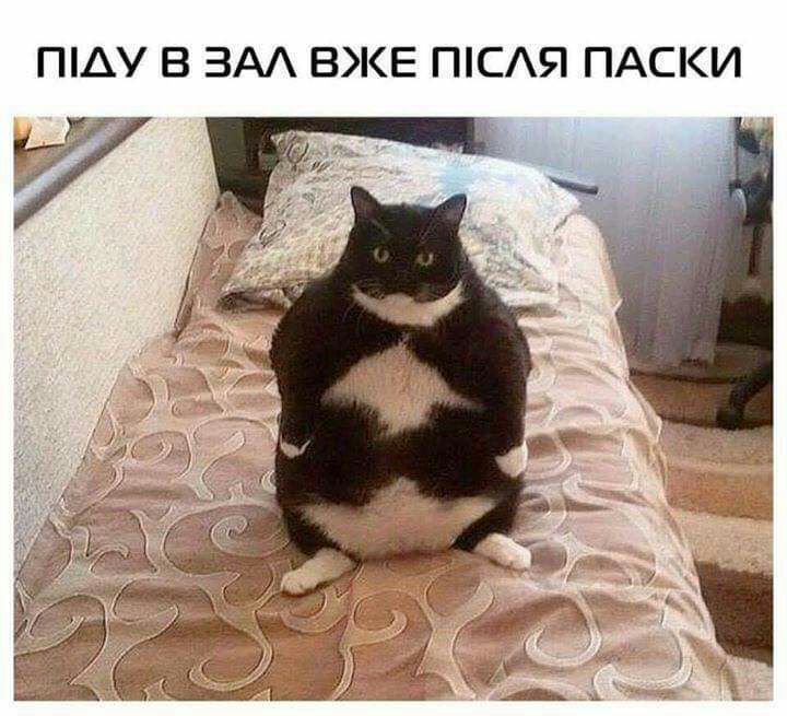 ПАУ В ЗАА ВКЕ ПСАЯ ПАСКИ