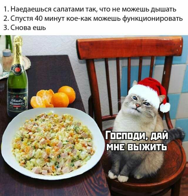 1 Наедаешься сапатами так что не можешь дышать 2 Спустя 40 минут коейкак можешь функционировать Снова ешь _
