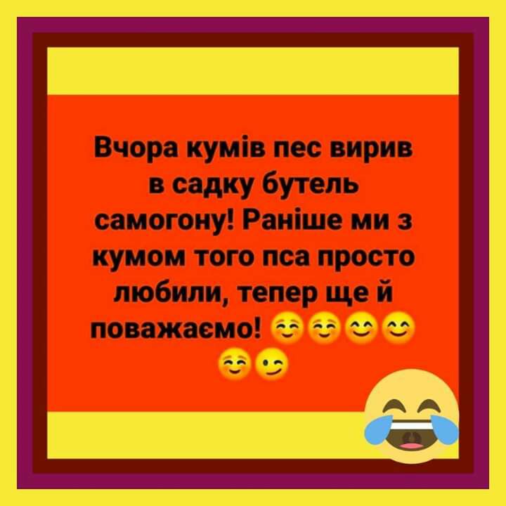 Вчора куміо пес при с водку бутепь саиогоиу Раніше ии э кумом того пса просто мобили тепер ще й попжаеио