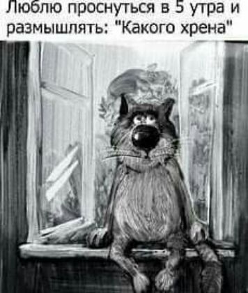 Люблю проснуться в 5 утра и размышлять Какого хрена