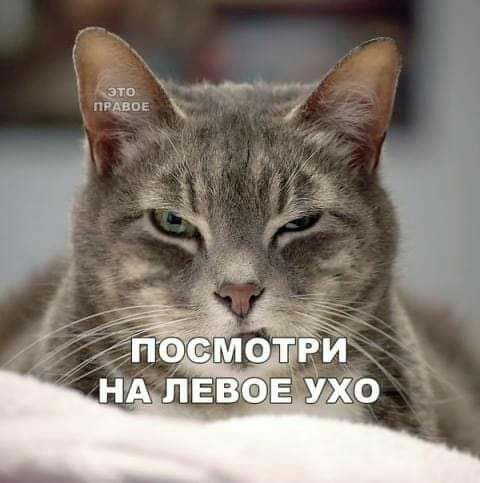 х 6 это так