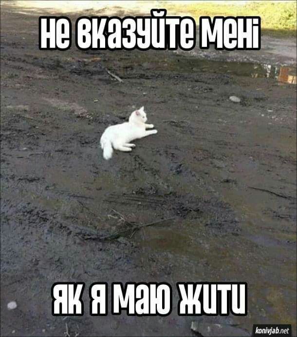 не виазнптеменпщ Шить пе