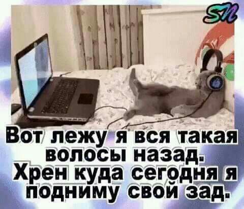 Вот лтжубг вся Такая __ волосы назада Хрен куда сег9дня я Еподниму сми зад