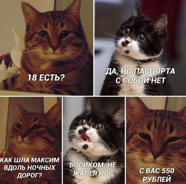 18 ЕСТЬ КАК ШЛА МАКСИМ ВДОЛЬ НО ЧНЫХ дОР0Г7 С ВАС 550 РУБЛЕЙ