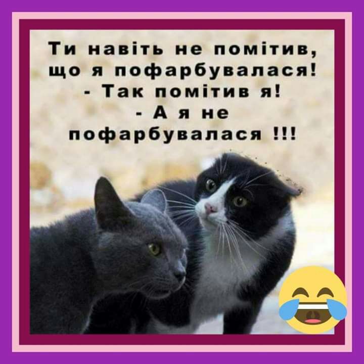 Ти навіть не помітив що я пофарбувалася Так помітив я А я не пофарбувапася