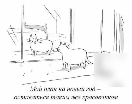 323 Май план на новый год ОСШПБЛППЬСЯ П1ЦКИ СЕ красавчикан