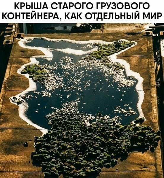 КРЫ_ША СТАРОГО ГРУЗОВО_ГО КОНТЕИНЕРА КАК ОТДЕЛЬНЫИ М_ИР