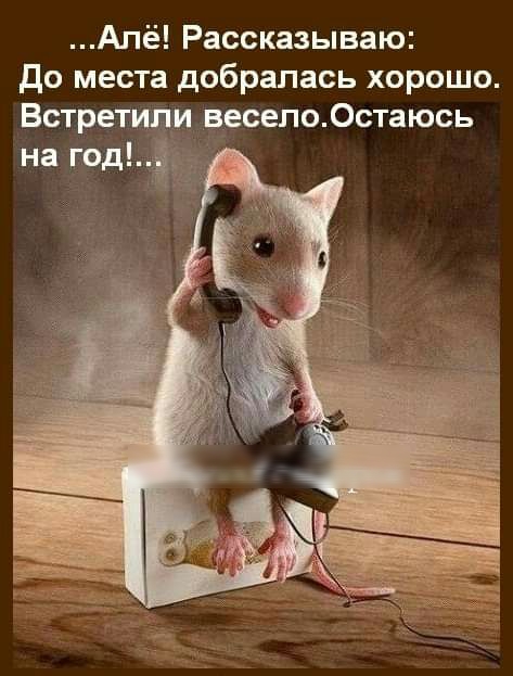 Апё Рассказываю до места добралась хорошо Встретили весело0стаюсь