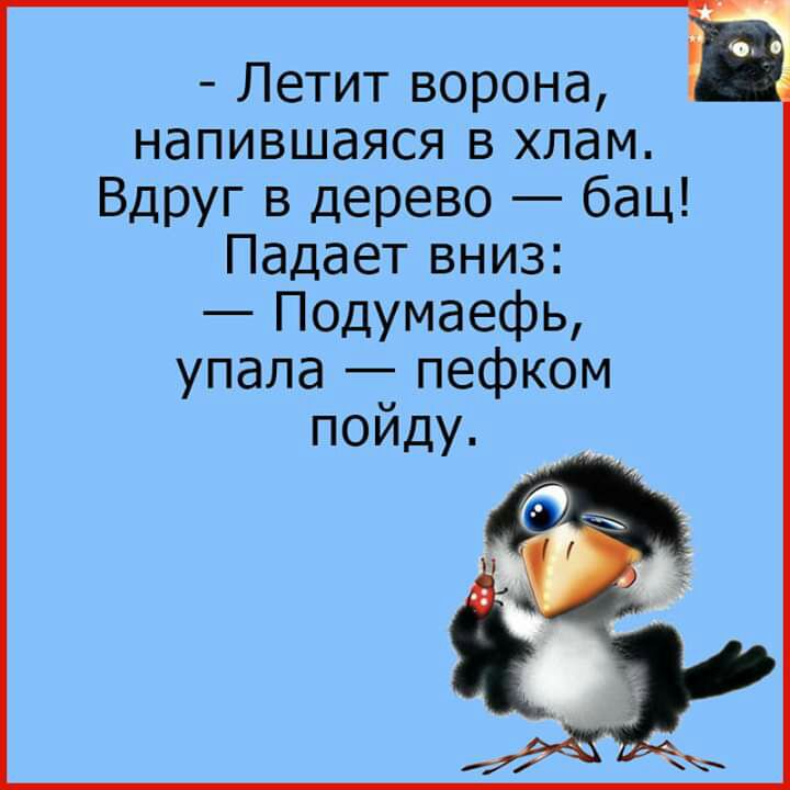 Летитворона напившаяся в хлам Вдруг в дерево бац Падает вниз Подумаефь упала пефком пойду