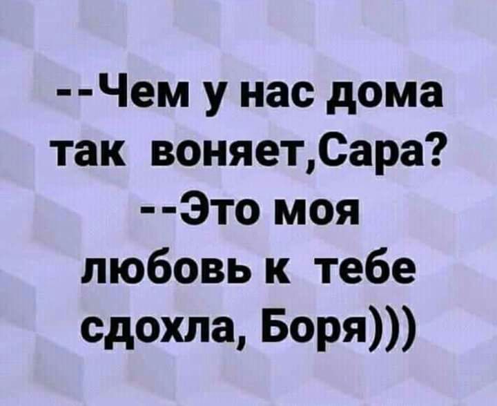 Чем у нас дома так воняетСара Это моя любовь к тебе сдохла Боря