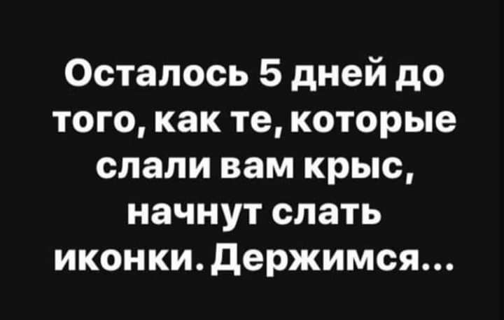 Осталось 5 дней до того как те которые слали вам крыс начнут слать иконки держимся