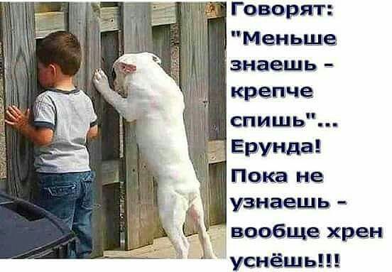 Меньше знаешь крепче СПМ ЩЬ Етпша узнаешь ваабще хрен усыёшь