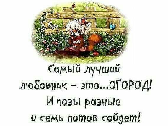 Самый лучший любовник этоОГОР0Д И позы разные и семь потов сойует