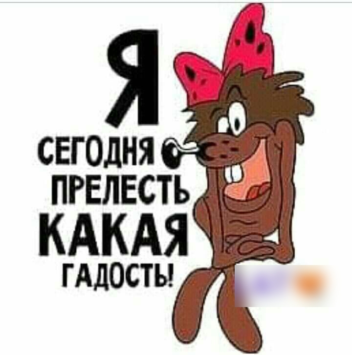 ПРЕЛЕСТЪ кдкдя гАдосты