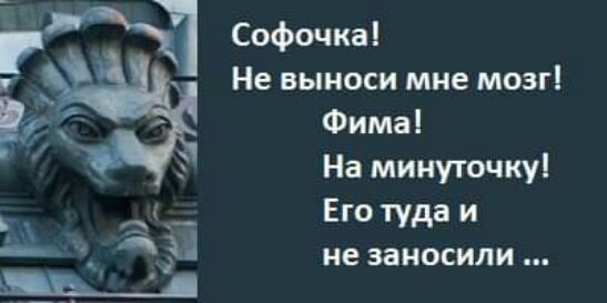 Не ВЫНОСИ мне МОЗГ Софочка Фима На минуточкуі Его туда и не ЗаНОСИЛИ