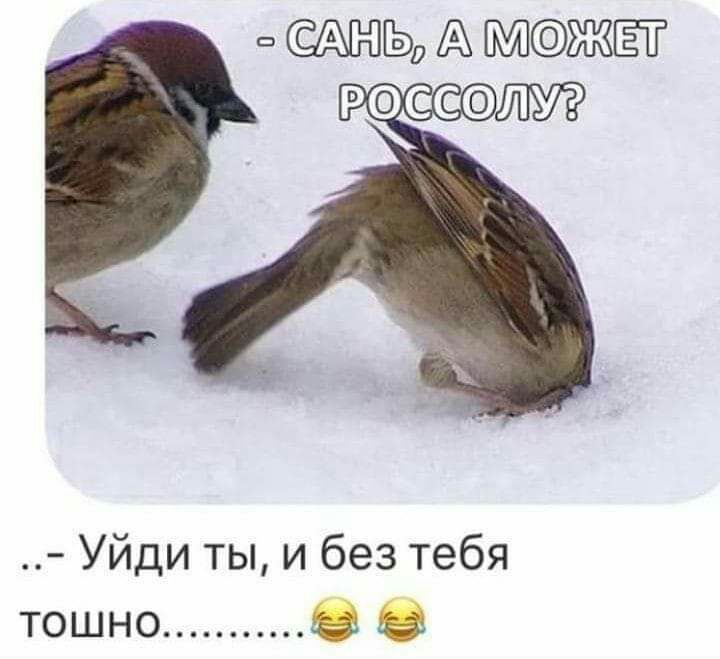 А ЖЁТ Уйди ты и без тебя тошно О