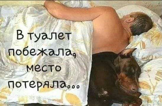 Втуалет д Побежалад МЗСТоч потеряла