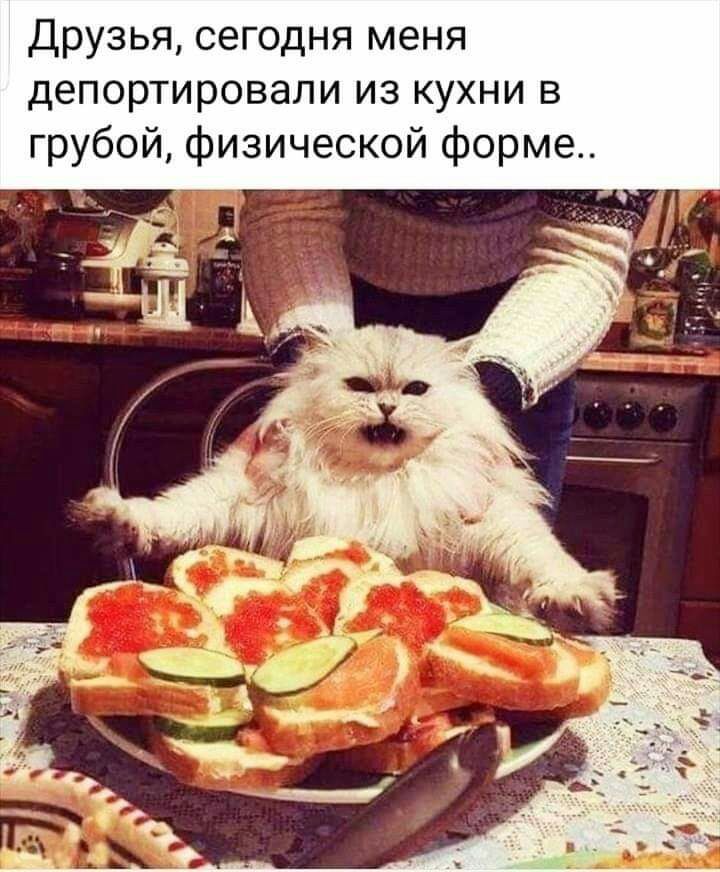 Друзья сегодня меня депортировали из кухни в грубой физической форме