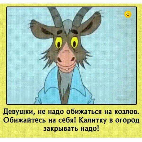 девушки не надо обижаться на козлов Обижайтесь на себя Капитку в огород закрывать надо
