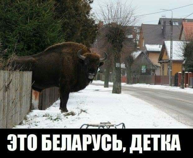это БШЪТЬЬ дпни