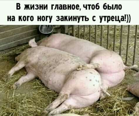 в жизни главное чтоб было на кого и закинуть ец