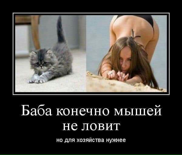 Баба конечно мышей не ловит но для хозяйства нужнее