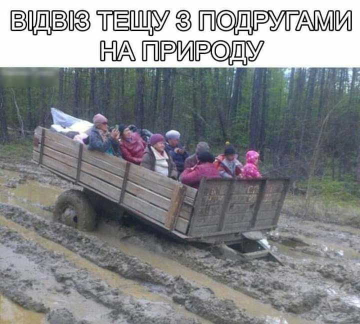 шипа поят