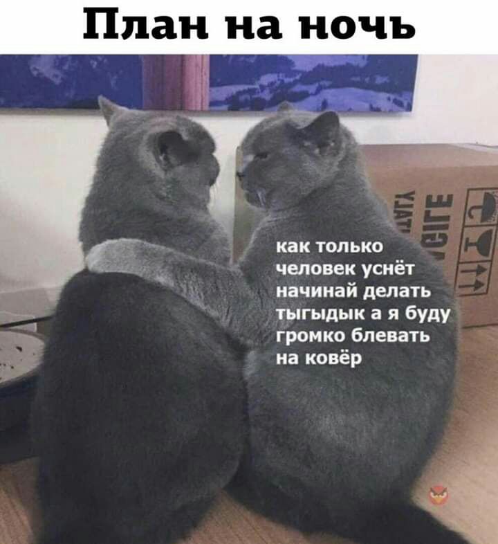 как только человек уснёт начинай делать тыгыдык а я буду громко блевать на ковёр