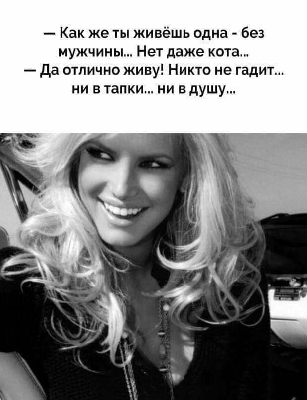 Как же ты живёшь одна без мужчины Нет даже кота Да отлично живу Никто не гадит ни в тапки ни в душу