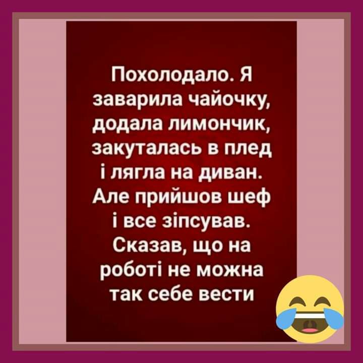 Похолодало Я заварила чайочку додала лимончик закуталась в плед і лягла на диван Але прийшов шеф і все зіпсував Сказав що на роботі не можна так себе вести