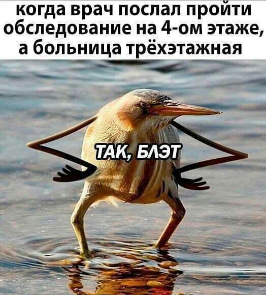 когда врач послал пройти обследование на 4 ом этаже а больница трёхэтажная
