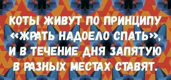 КОТЫ ЖИВУТ ПО ПРИНЦИПУ ЖРАТЬ НААОЕАО СПАТЬ И В ТЕЧЕНИЕ АНЯ ЗАПЯТУЮ В МЗНЫХ МЕСИХ СШВЯТ