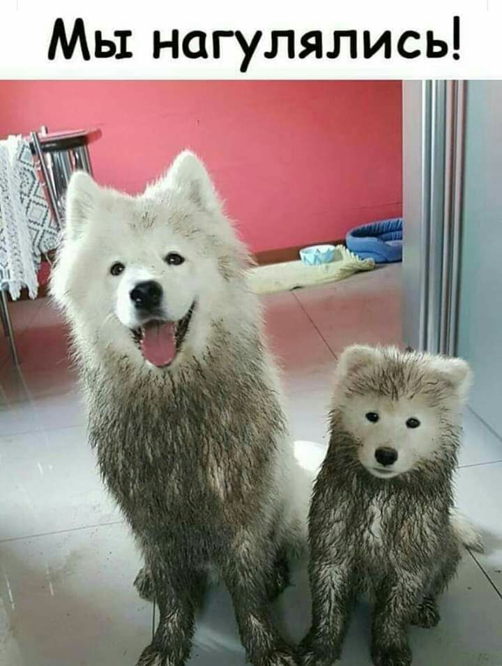 Мы нагулялись