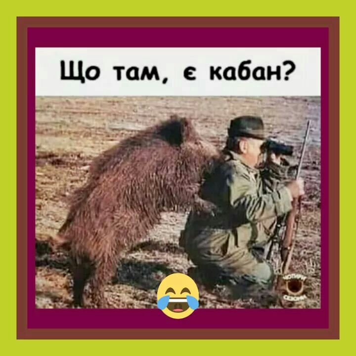 Що там с кабан