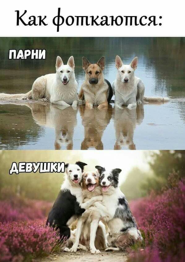 Как фоткаются
