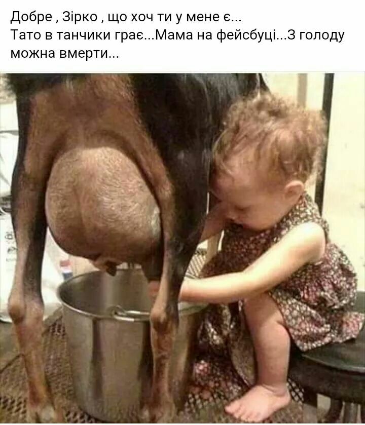 Добре Зірко що хоч ти у мене Тато в танчики граеМама на фейсбуці3 голоду можна вмерти