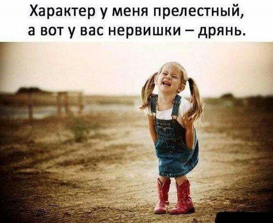 Характер у меня прелестный а вот у вас нервишки дрянь