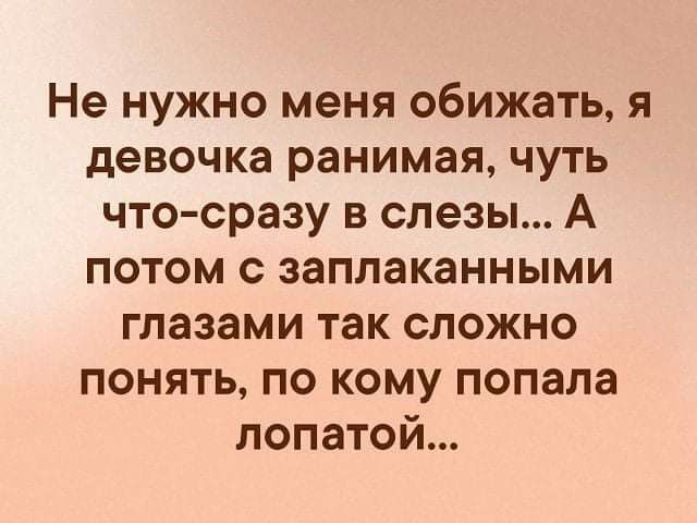 Не нужно меня обижать я девочка ранимая чуть что сразу в слезы А потом с заплаканными глазами так сложно понять по кому попала лопатой