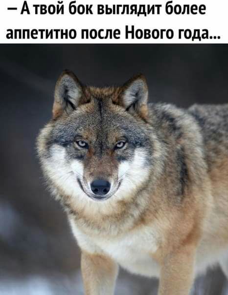 А твой бок выглядит более аппетитно после Нового года