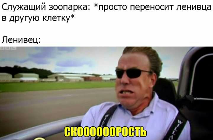 Служащий зоопарка просто переносит ленивца в другую клетку Ленивец Г