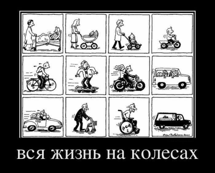 ВСЯ ЖИЗНЬ Нд КОЛССЗХ
