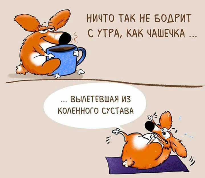 НИЧТО ТАК НЕ БОШИТ С УТРА КАК ЧАШЕЧКА _ ВЫАЕТЕВШАЯ ИЗ КОАЕННОГО СУСТАВА