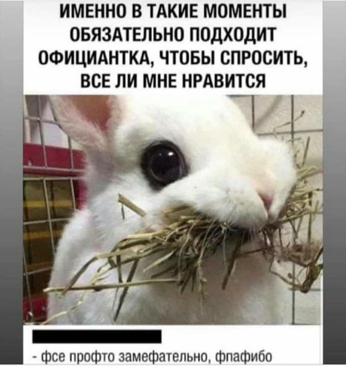 ИМЕННО В ТАКИЕ МОМЕНТЫ ОБЯЗАТЕЛЬНО ПОДХОДИТ ОФИЦИАНТКА ЧТОБЫ СПРОСИТЬ ВСЕ ЛИ МНЕ НРАВИТСЯ фсе профто замефательно фпафибо