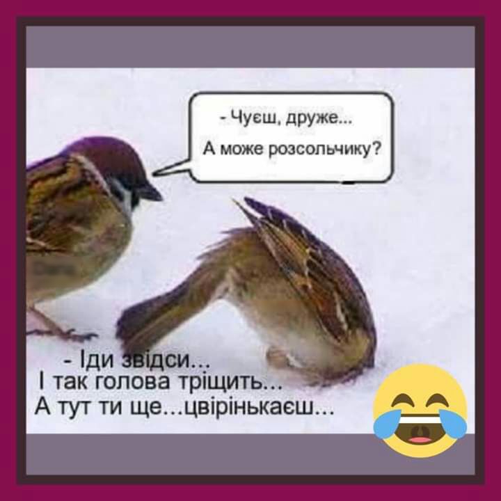 Чуеш дРУже А може розсопьчику ди так голова тріщить А тут ти ще цвірінькаеш