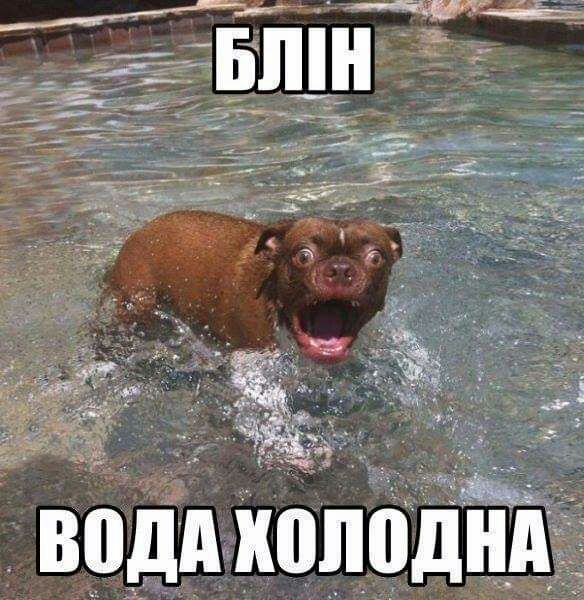 _Віщпойбднд